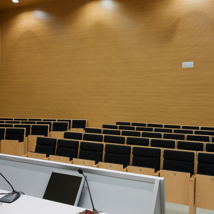 Specibat Acoustic Wood Panel 08