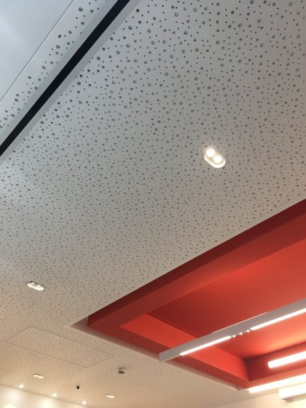 Specibat Acoustic Gypsum 11